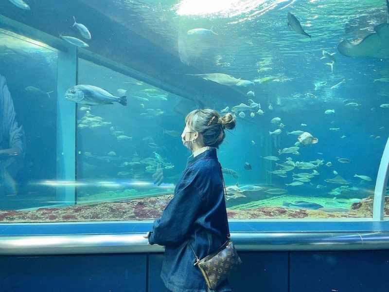 新潟市水族館マリンピア日本海