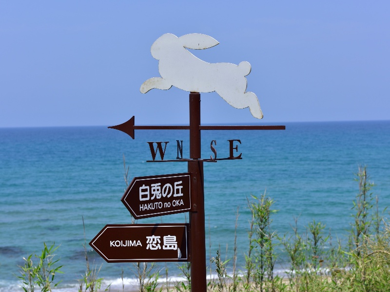 白兎海岸