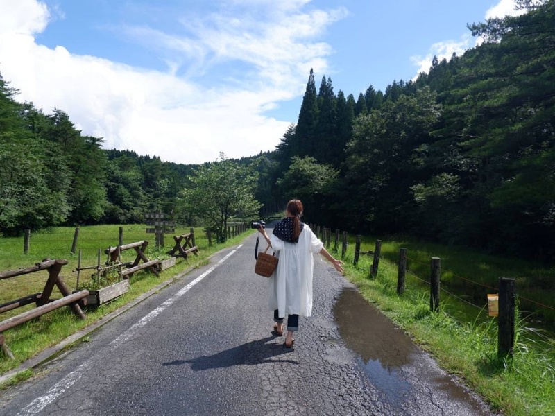 樫原湿原