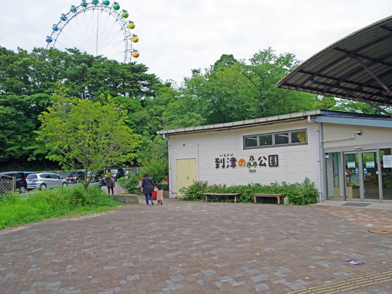 到津の森公園