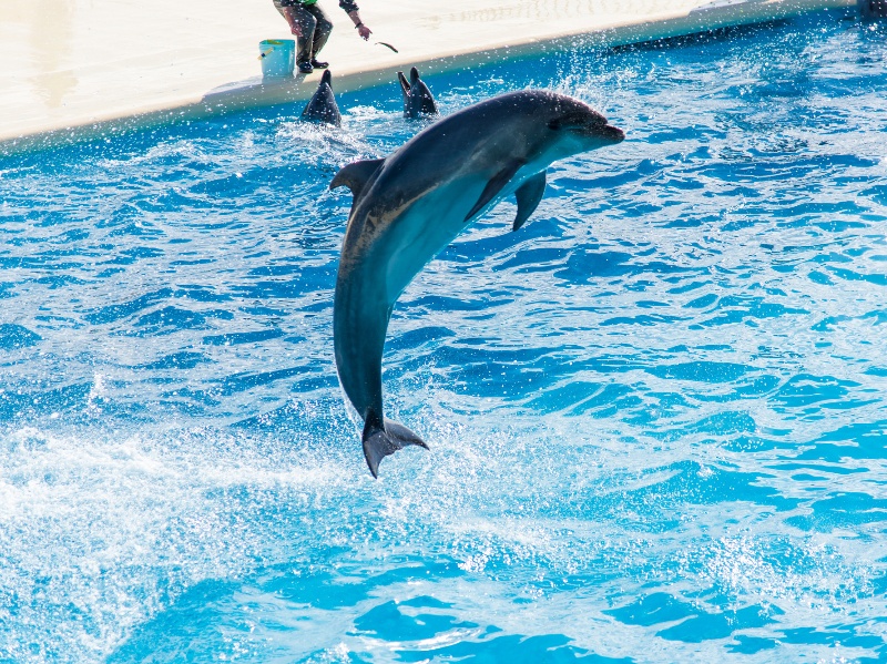 マリンワールド海の中道