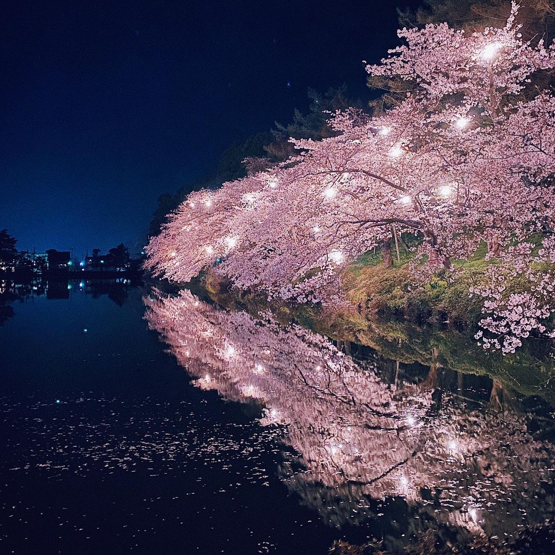 高田城址公園