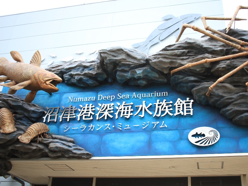 沼津港深海水族館