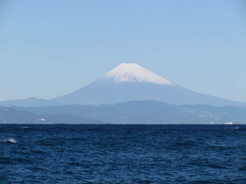 大島から見える富士山