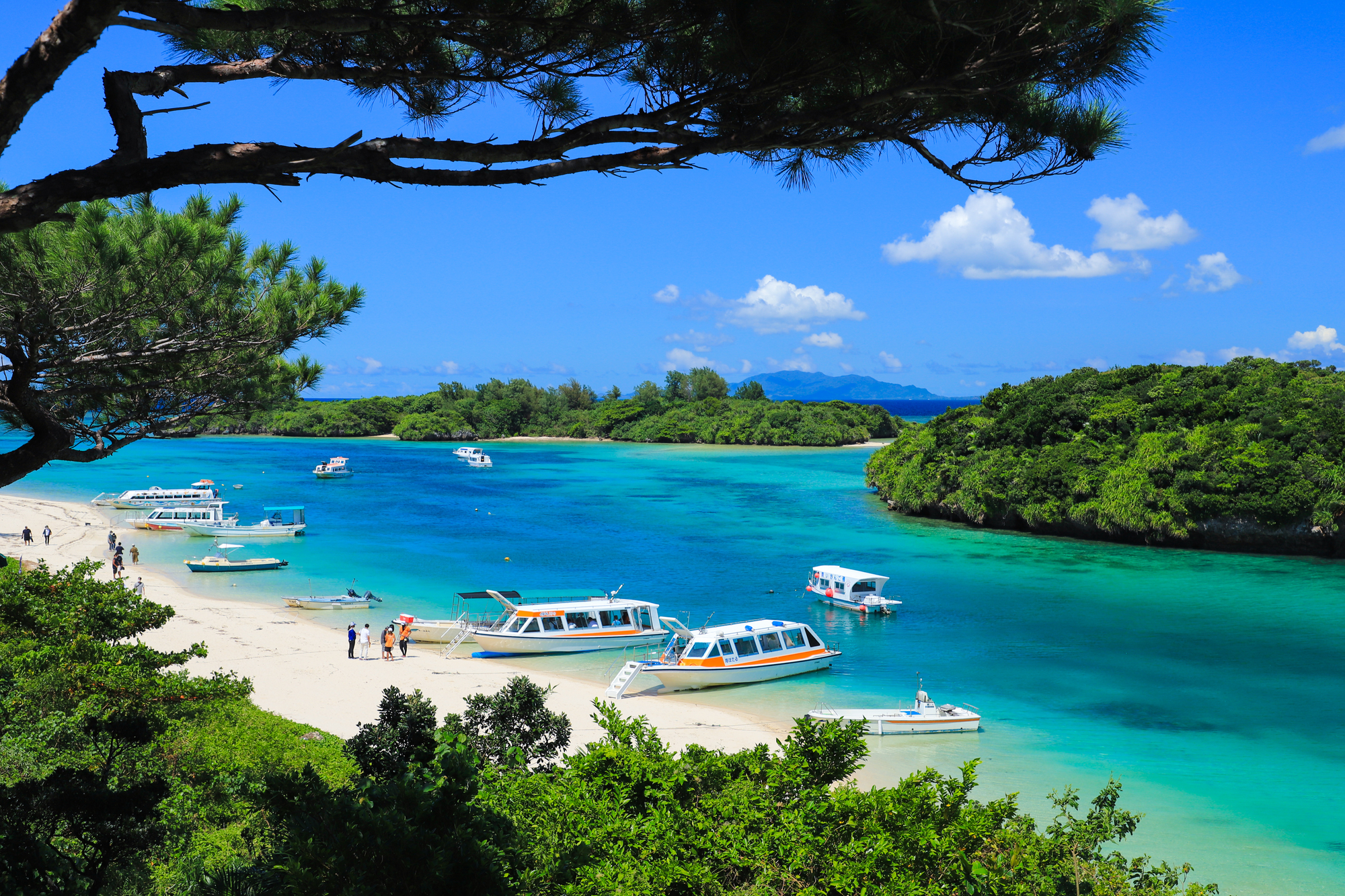 石垣島旅行 石垣島ツアー Anaで行く石垣島 ビッグホリデー