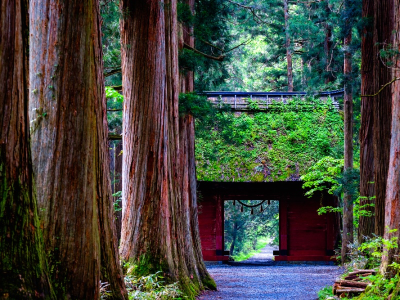 戸隠神社奥社