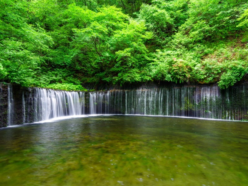 長野県　白糸の滝(イメージ)