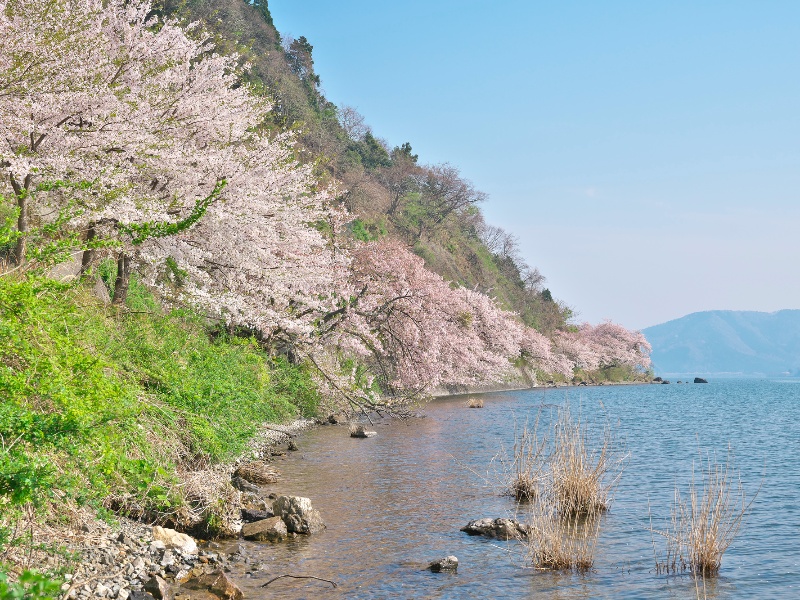 海津大崎