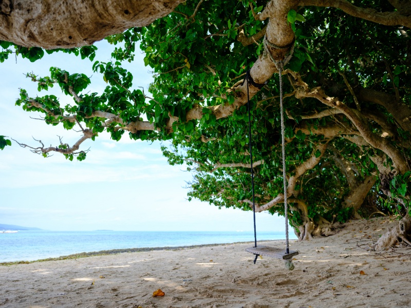 カイジ浜に設置してある「木のブランコ」