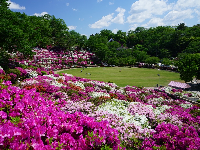 西山公園