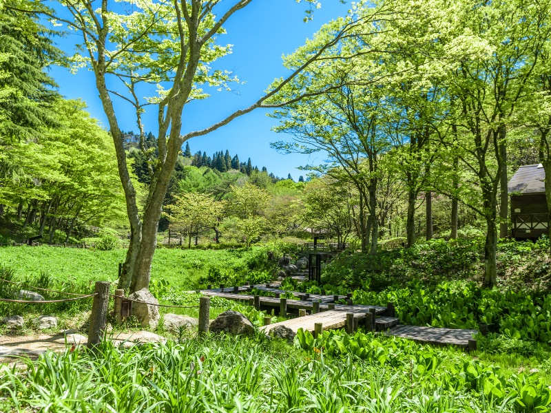 六甲高山植物園