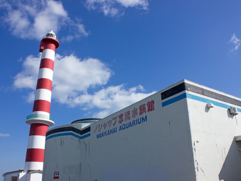 ノシャップ寒流水族館