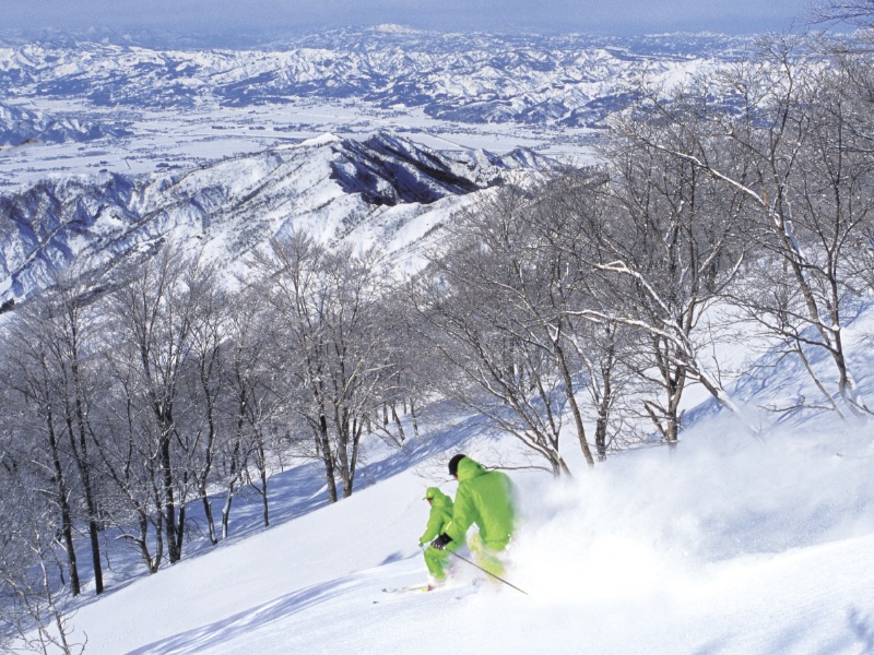 500円割引】六日町 八海山スキー場 リフト1日券＋場内利用券