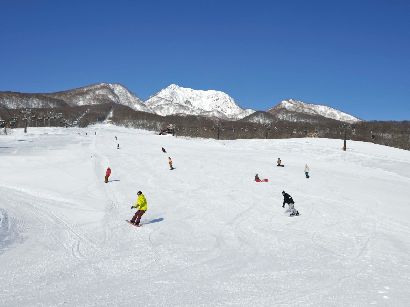 池の平温泉アルペンブリックスキー場 ゲレンデイメージ画像