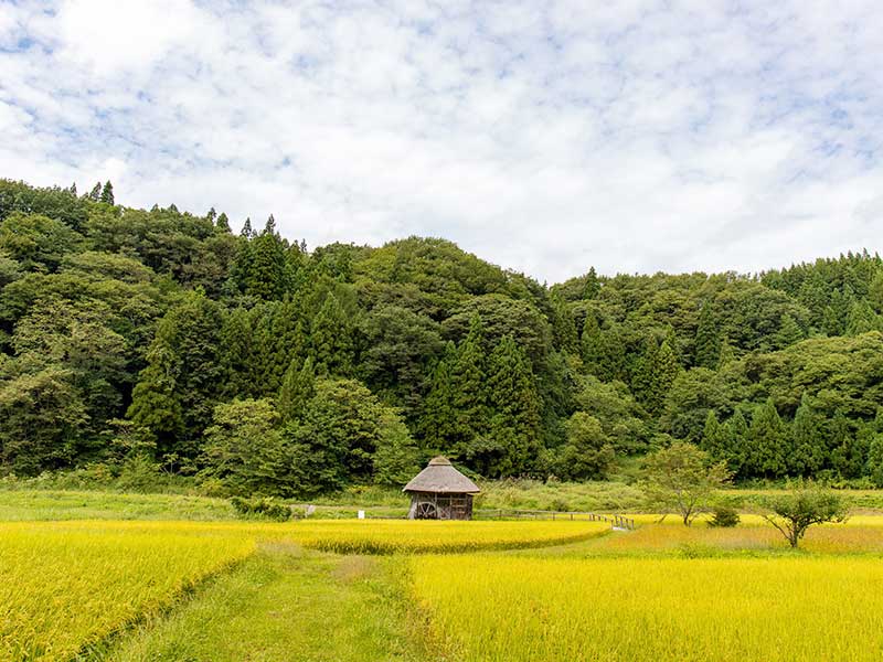 田子町イメージ