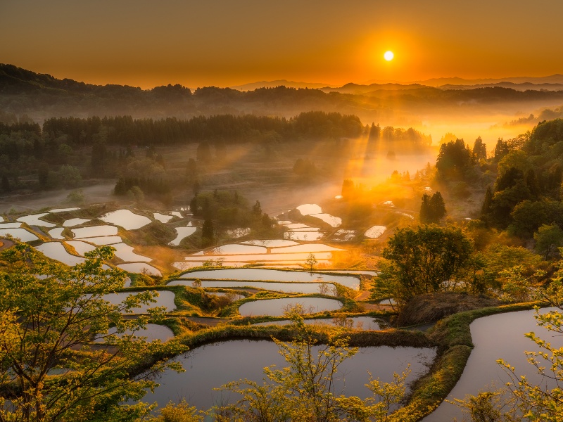 新潟県・星峠の棚田