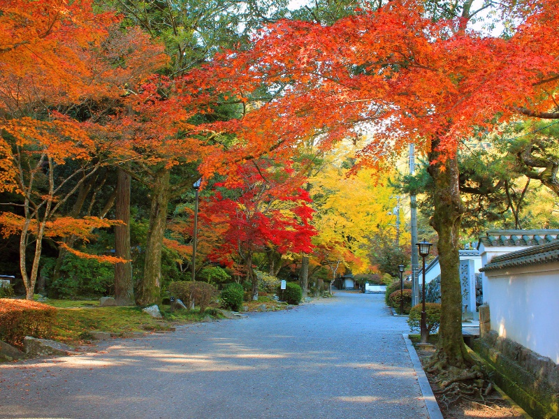 紅葉谷公園