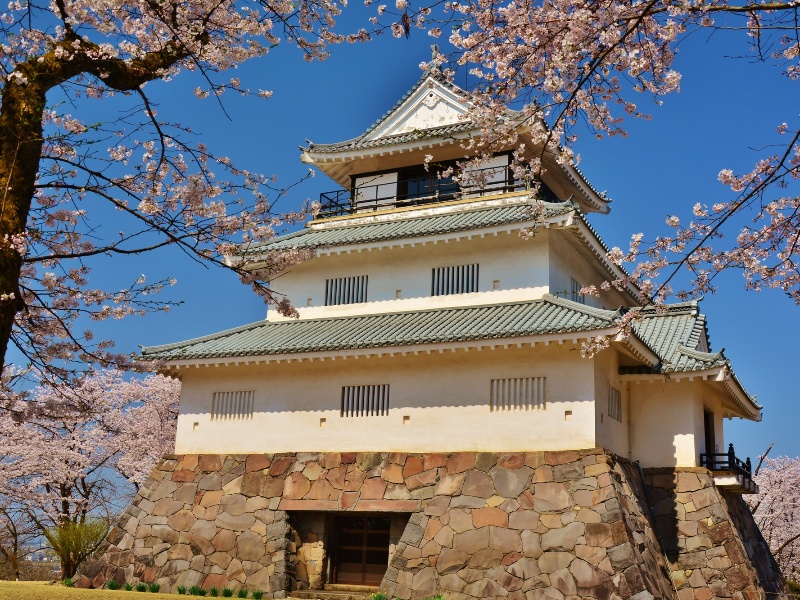 悠久山公園