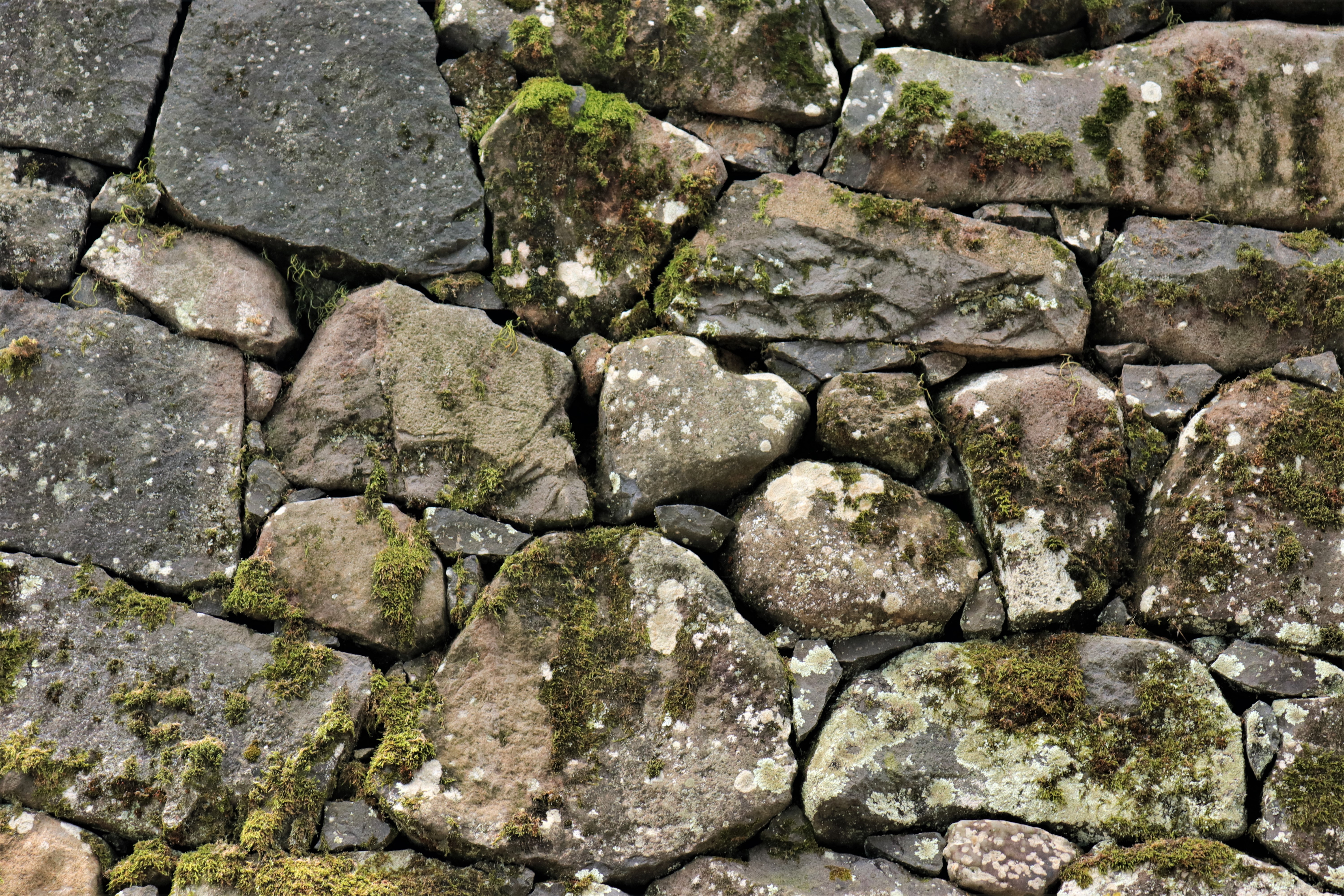 「松江城　ハートの石垣」イメージ