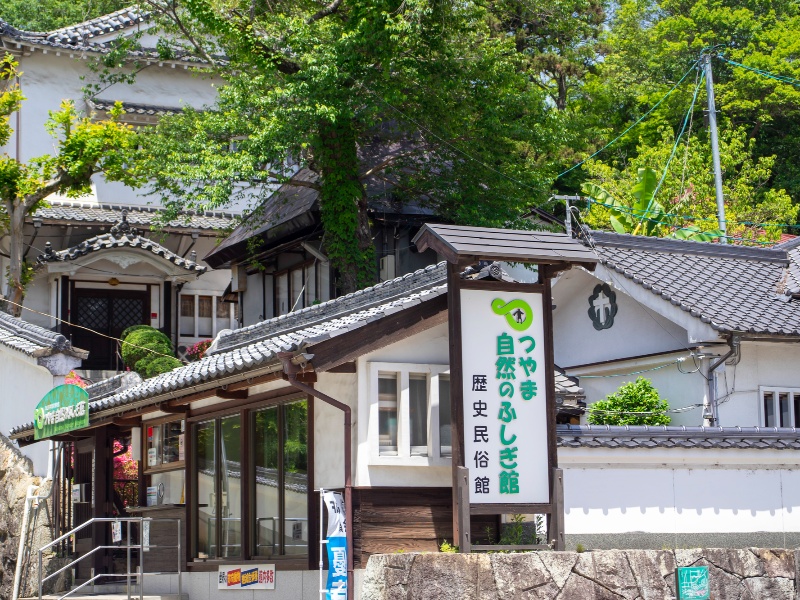 つやま自然のふしぎ館