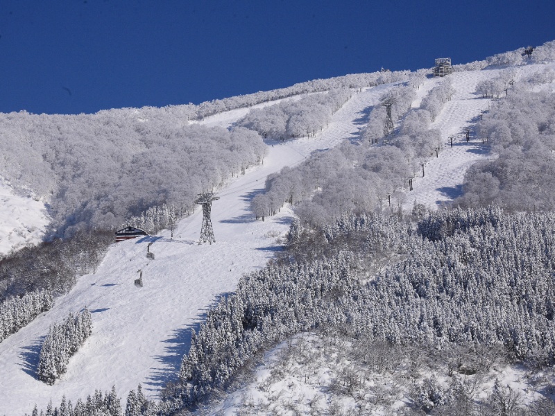 六日町八海山スキー場のスキーツアー・スノボツアー｜ビッグホリデー