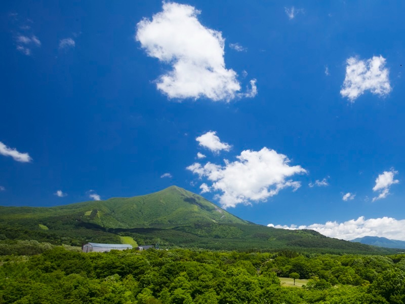外観（夏）