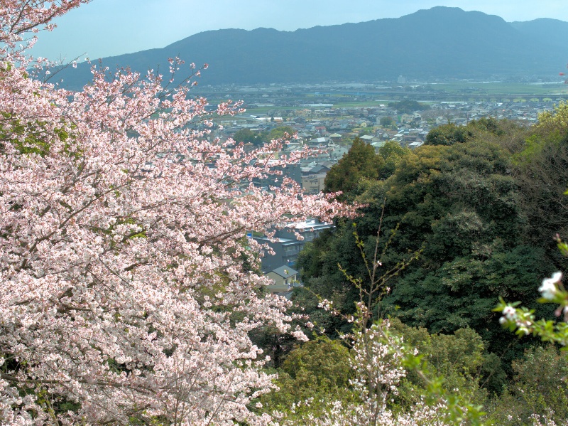 笹山公園