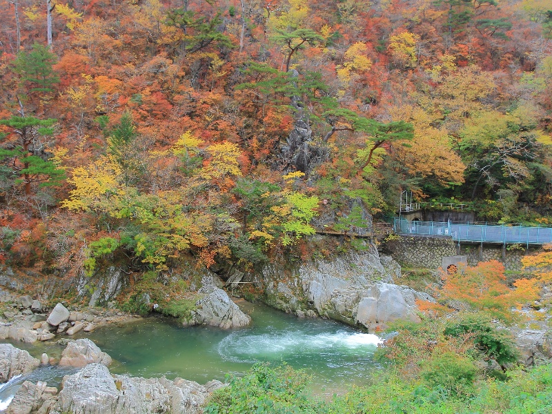 夏井川渓谷