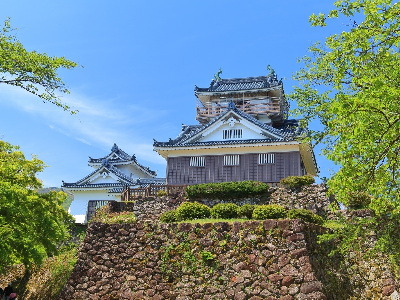 越前大野城