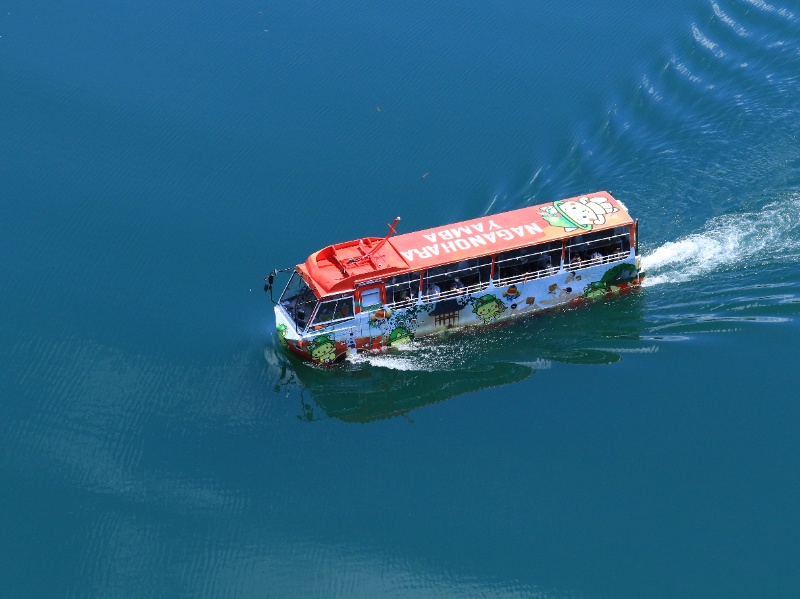 水上を進む水陸両用バス