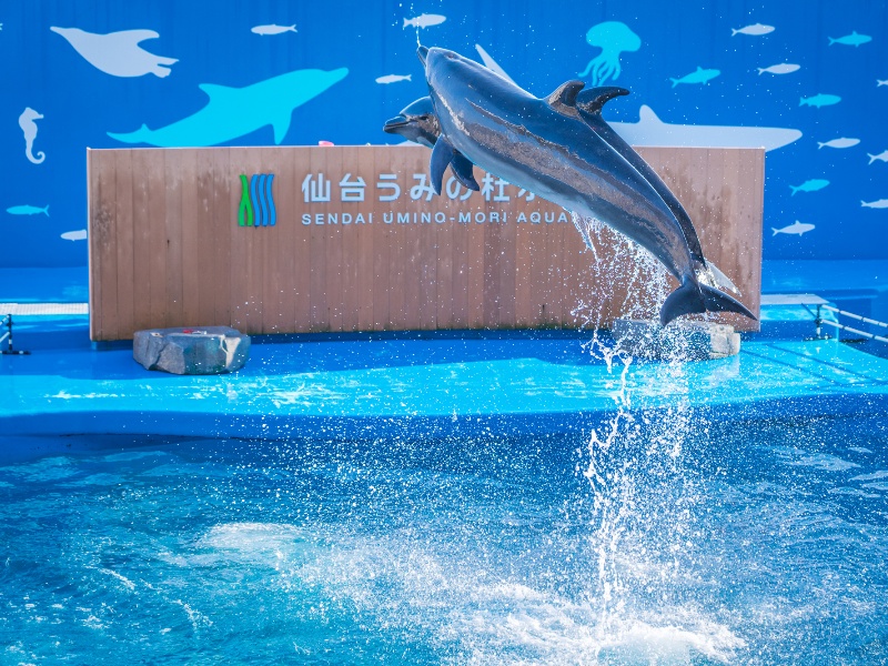 仙台うみの杜水族館