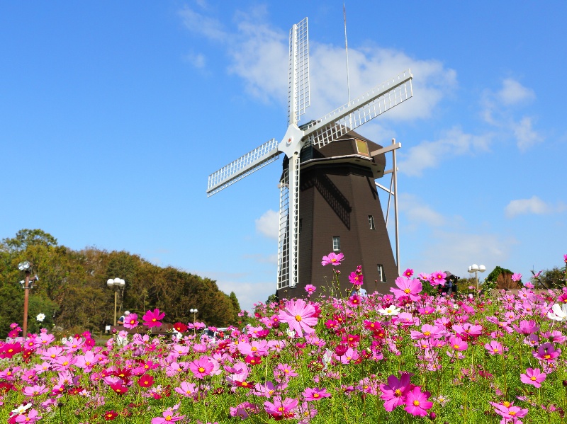 花博記念公園 鶴見緑地