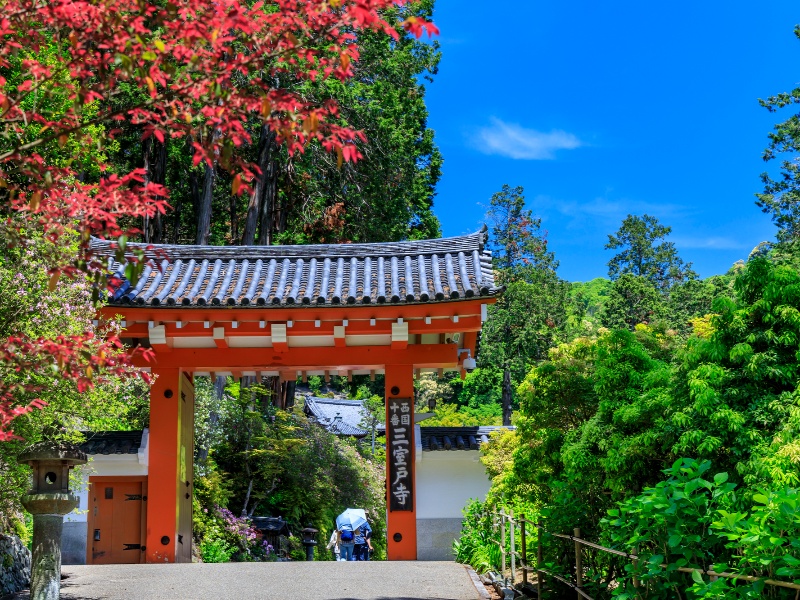 三室戸寺