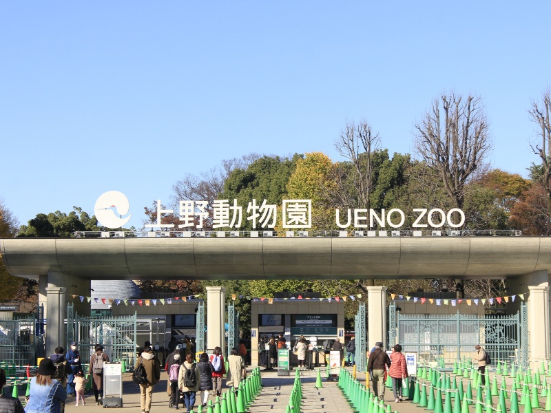 上野動物園