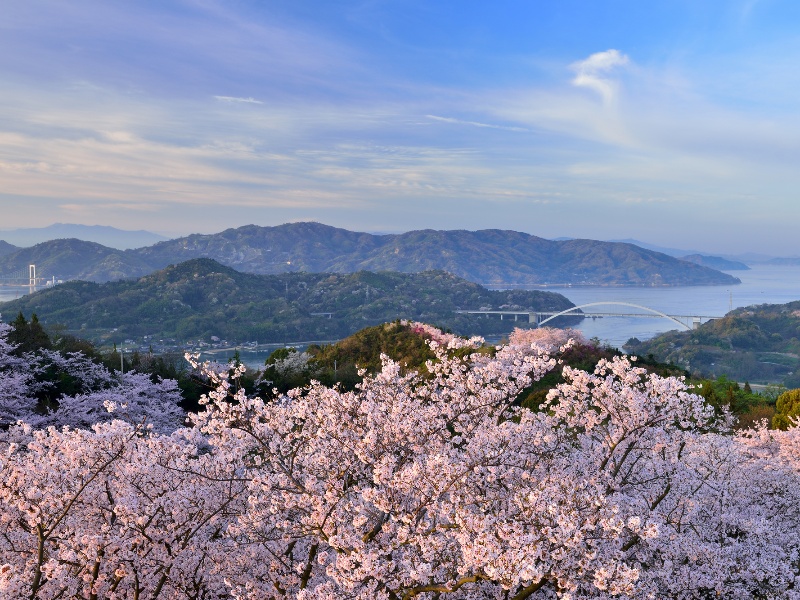 開山公園