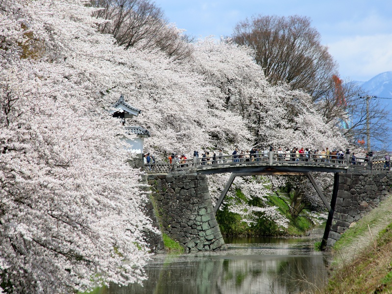 霞城公園