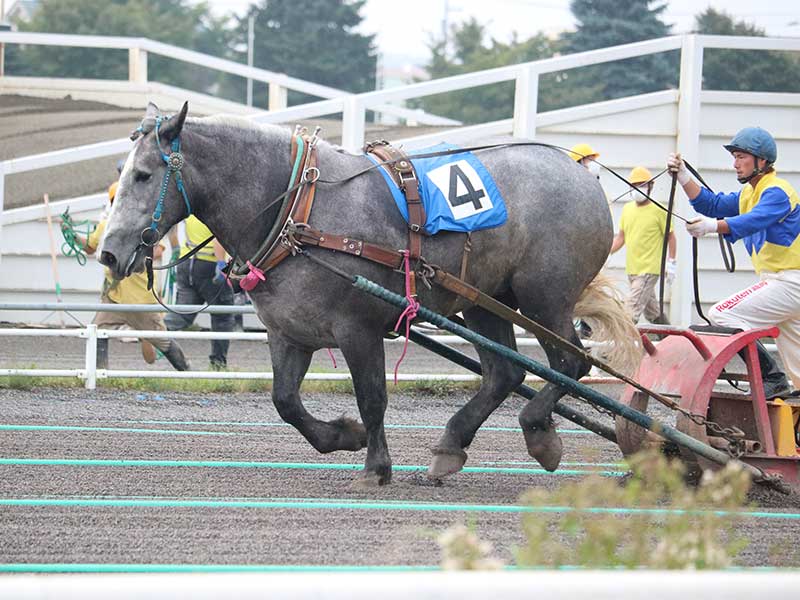 ばんえい競馬場