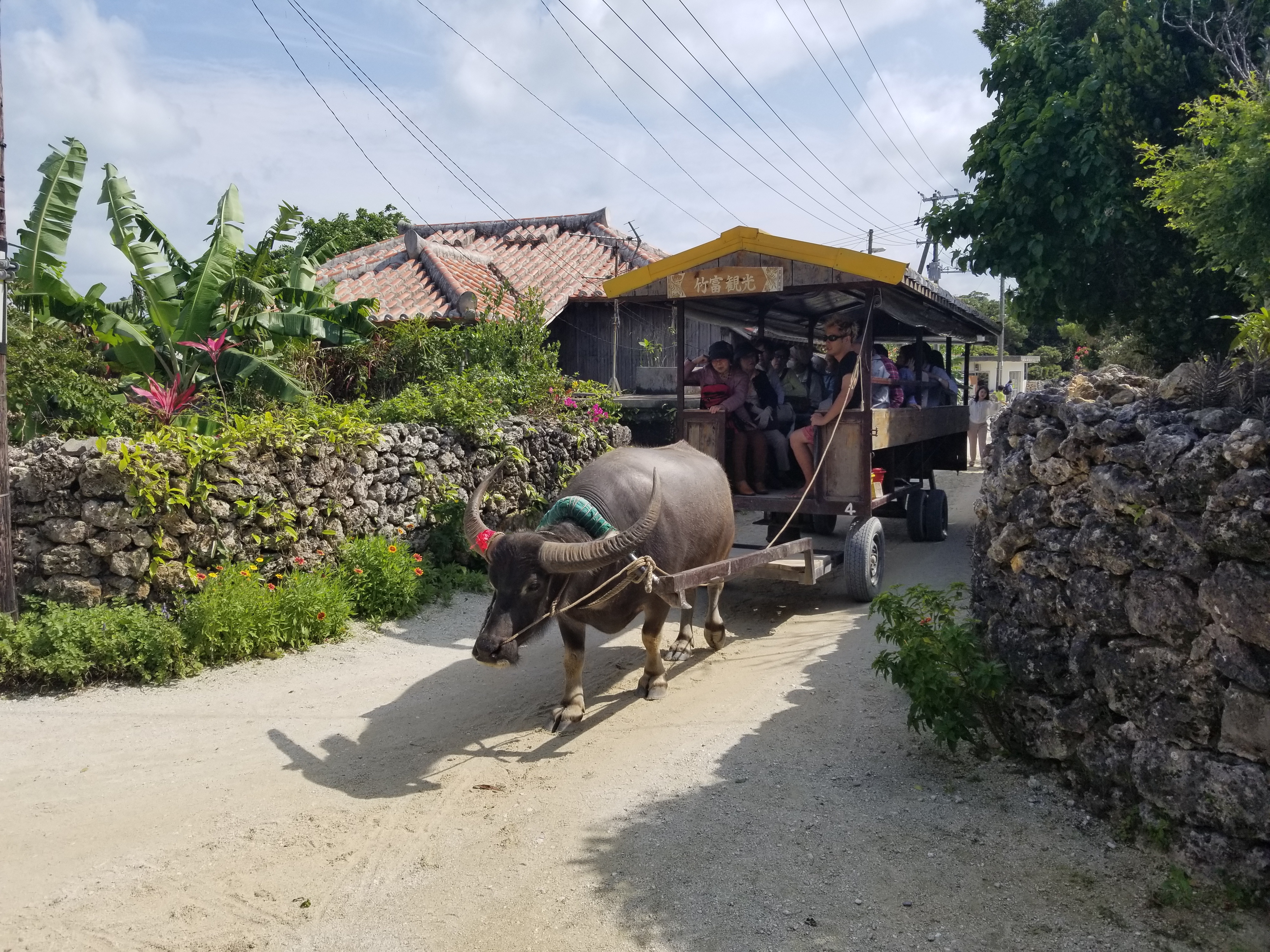 水牛車