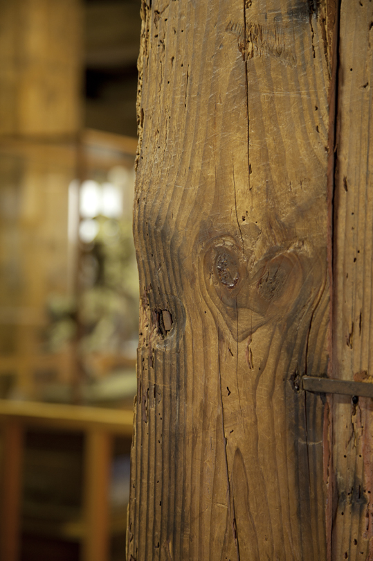 「松江城　ハートの木目」イメージ