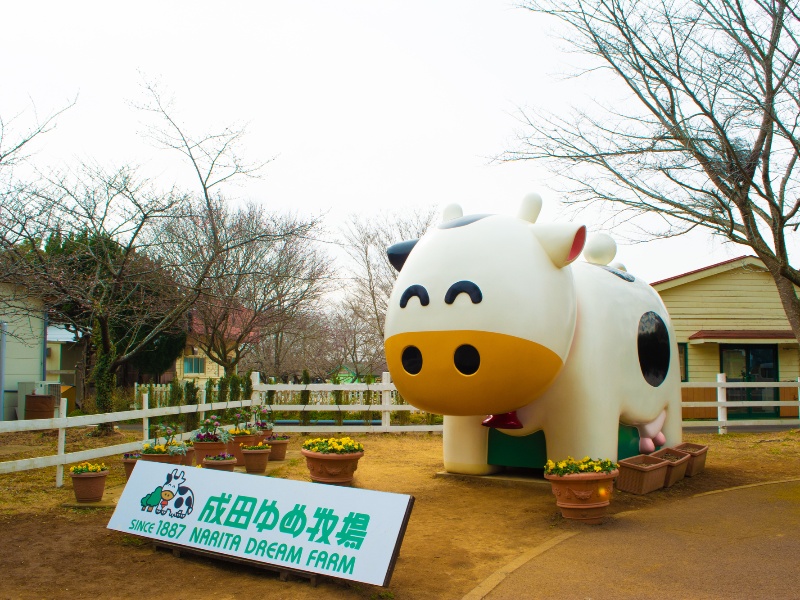 成田ゆめ牧場