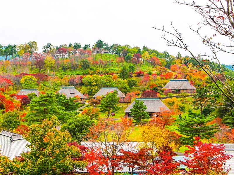 タプコプ創遊村