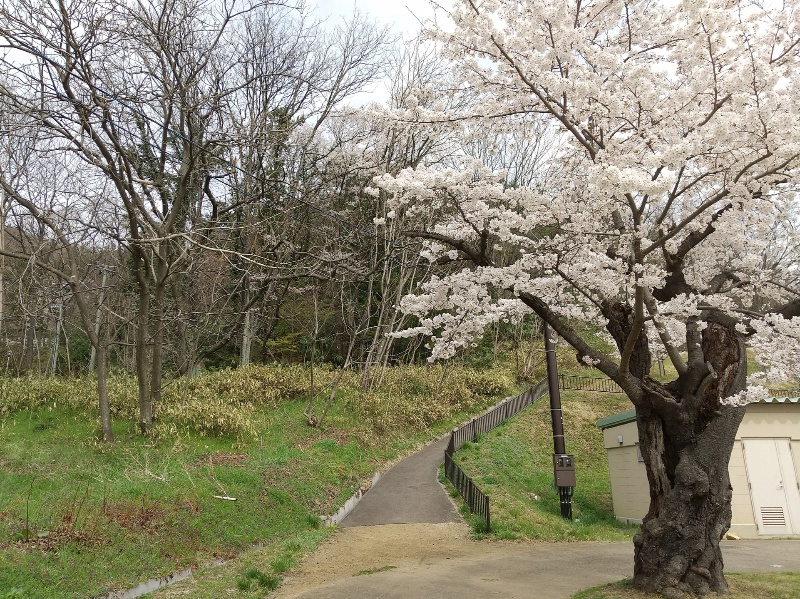 信夫山公園