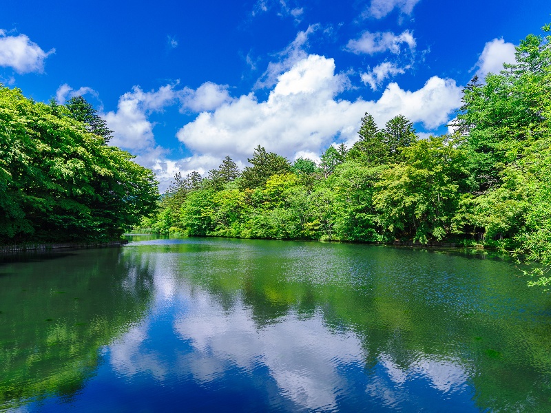 雲場池