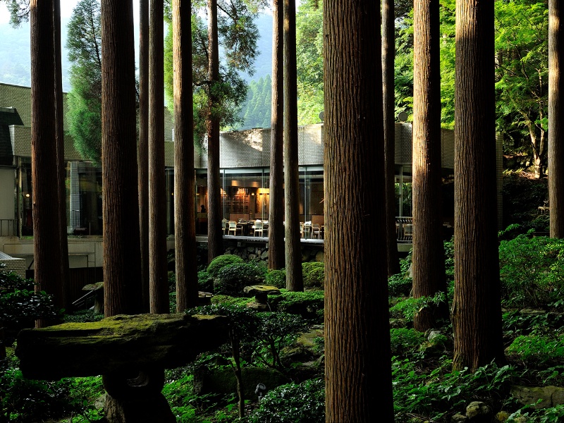 霧島ホテル　百年杉庭園（イメージ）