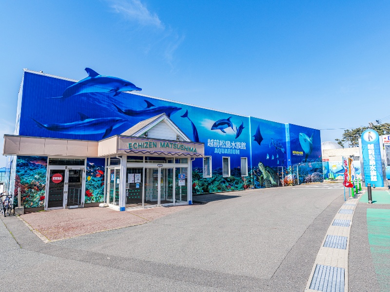 越前松島水族館