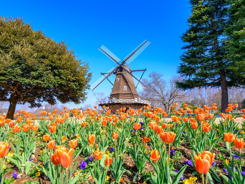 ふなばしアンデルセン公園