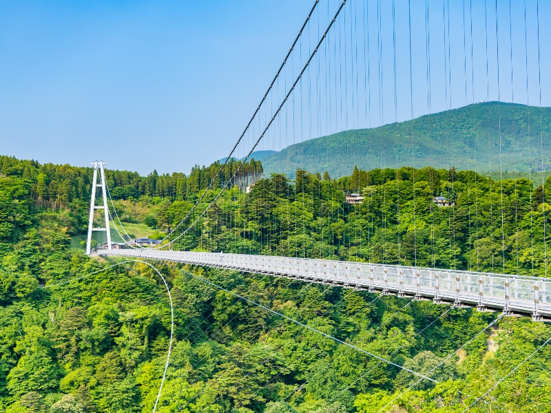 九重“夢”大吊橋