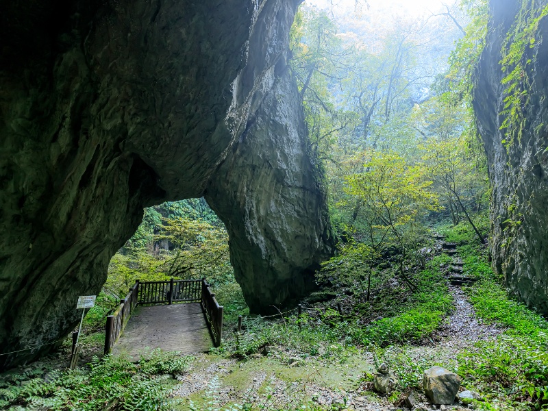 羅生門