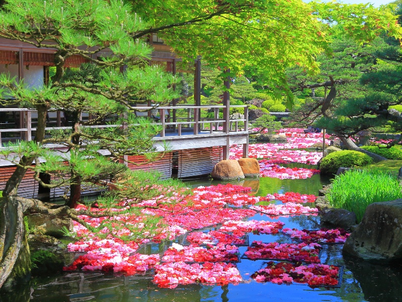 日本庭園 由志園