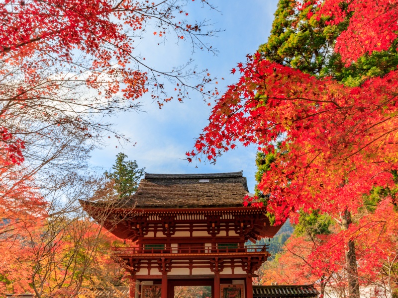 室生寺